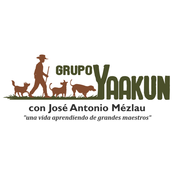 Grupo Yaakun