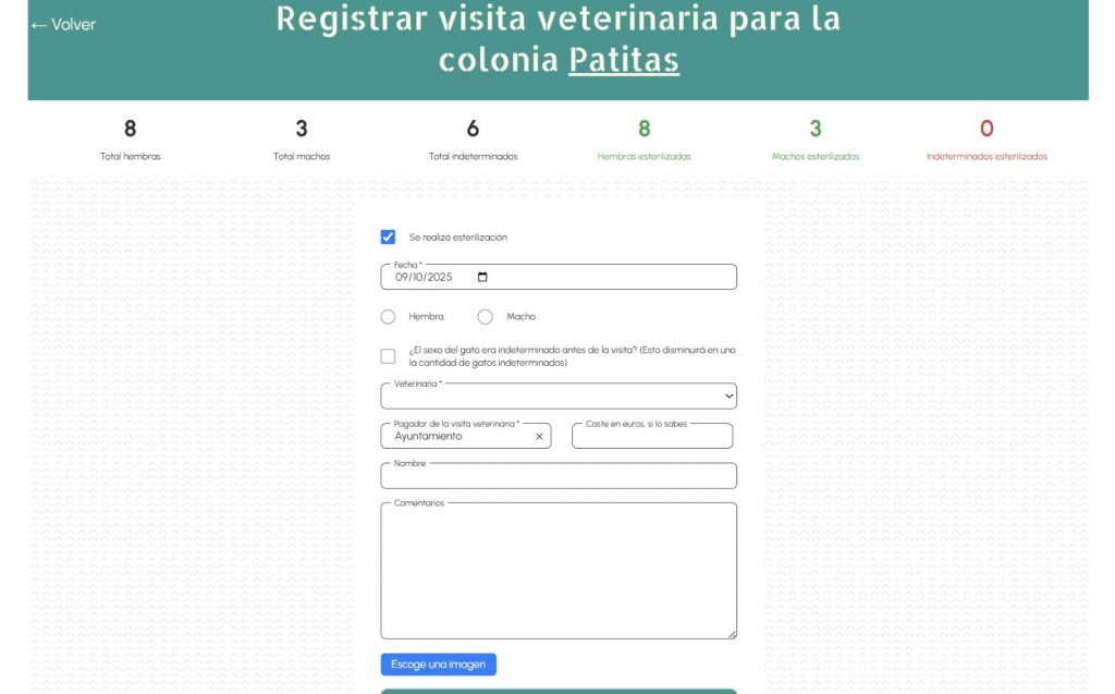 felinapp captura 2